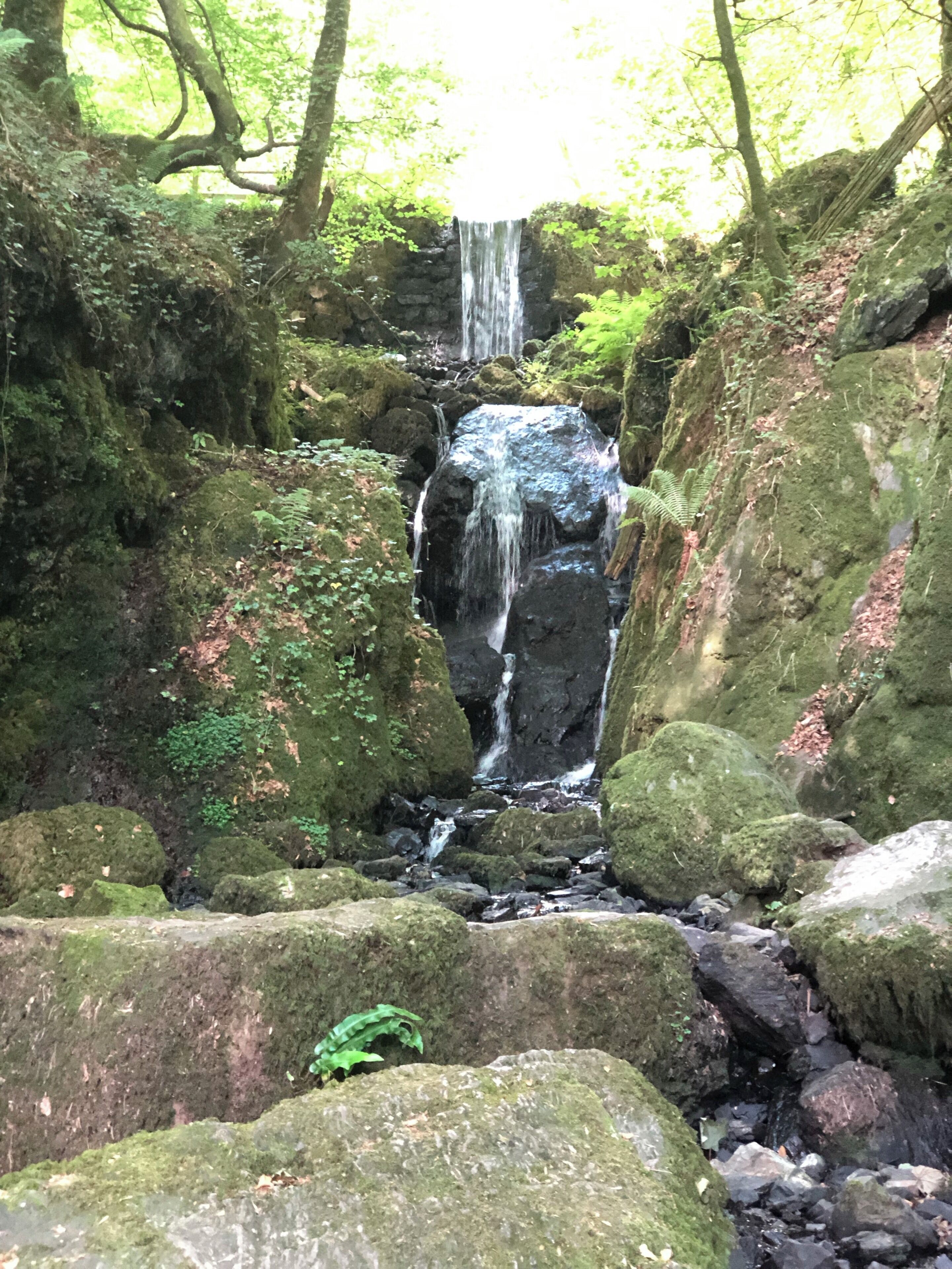 Canonteign Falls- a must visit to this beautiful place.
#exploreEngland
#nature