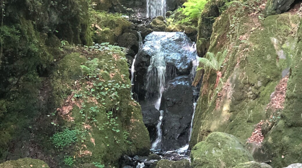 Canonteign Falls- a must visit to this beautiful place.
#exploreEngland
#nature