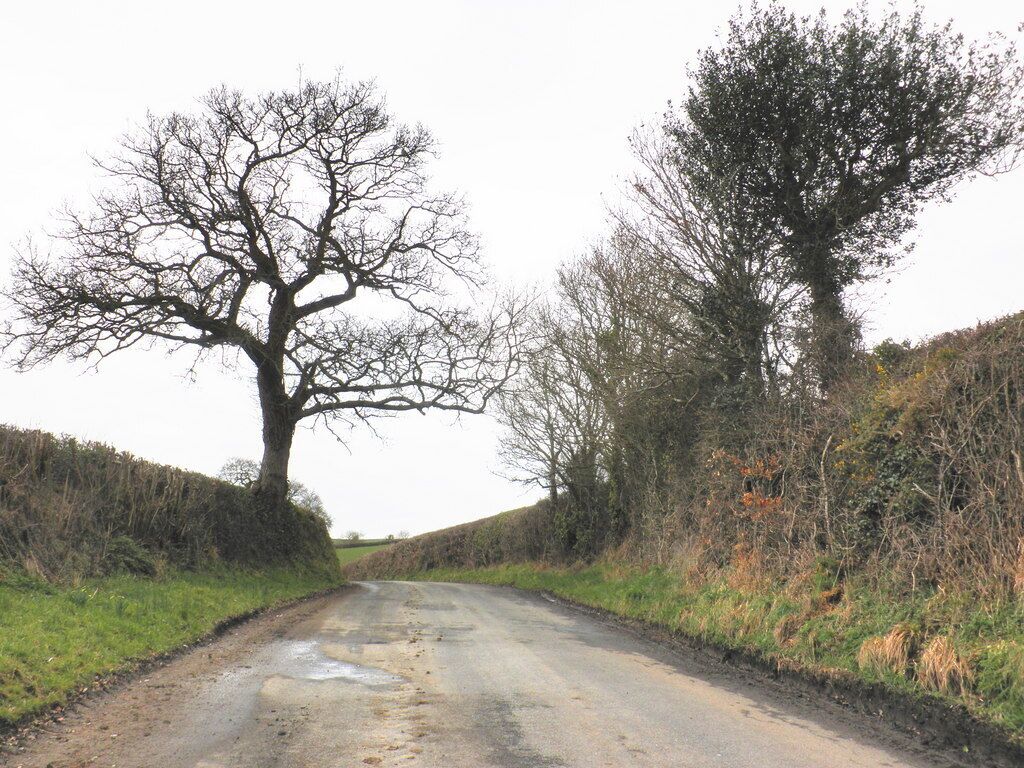 Reedy Hill, near Dunsford