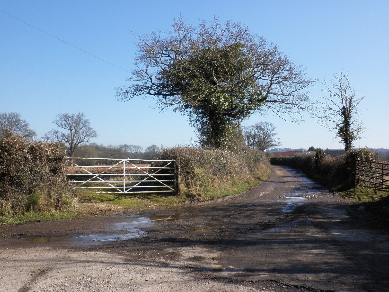 Road to Tanner's Farm