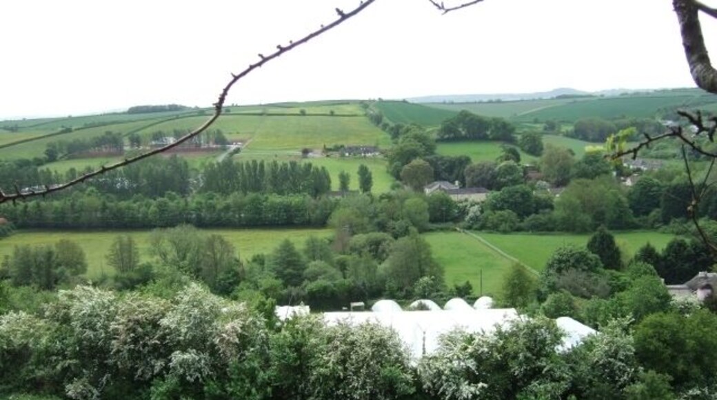 Fields and polytunnels below Hambeer Lane, Exeter A view down the hill towards the valley of the Alphin Brook (used by the A30) with polytunnels over strawberry fields.