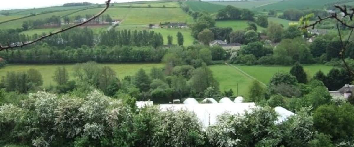 A rural landscape with rolling hills, a white building, and dense greenery.