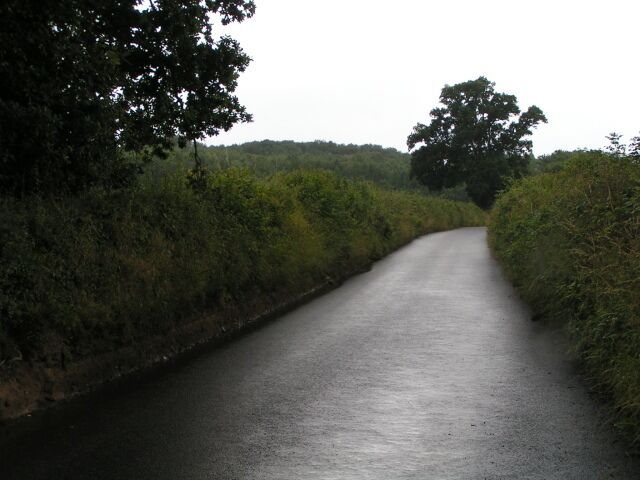 Road towards Exeter from Brampford Speke