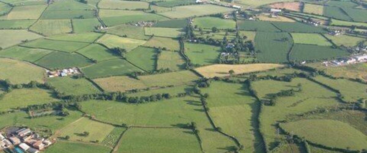 Fields south of Lower Burrowton. The fields in the foreground, some of unusual shape, are dropping down a slope towards the Rockbeare Stream, which follows a winding tree-lined course close to the railway line across the image just beyond Elbury Farm (see 1387336) on the left. Further away is Exeter Airport. View from a hot air balloon.