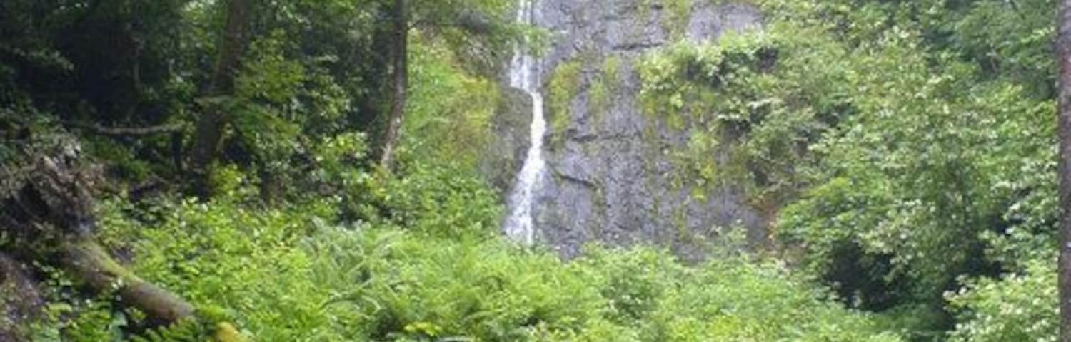 Canonteign Falls. The upper part of canonteign falls