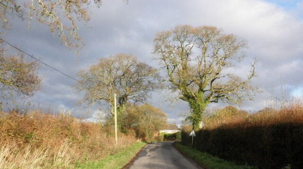 Minor road to West Hill