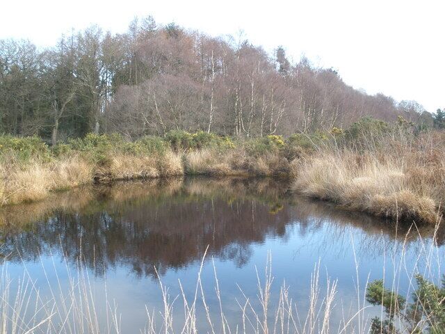 Pond, on Aylesbeare Common