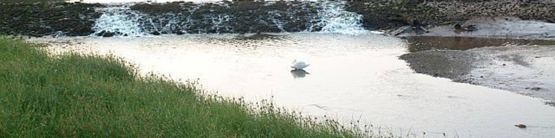 Weir, Clyst Bridge, Topsham This is the weir on the River Clyst at Topsham, looking upstream from the bridge where the Exeter/Exmouth Road crosses the Clyst at the Bridge Inn. Upstream from here, the Clyst here meanders over a farmed floodplain. To the west, the land rises to the sandstone ridge on which Topsham is built.