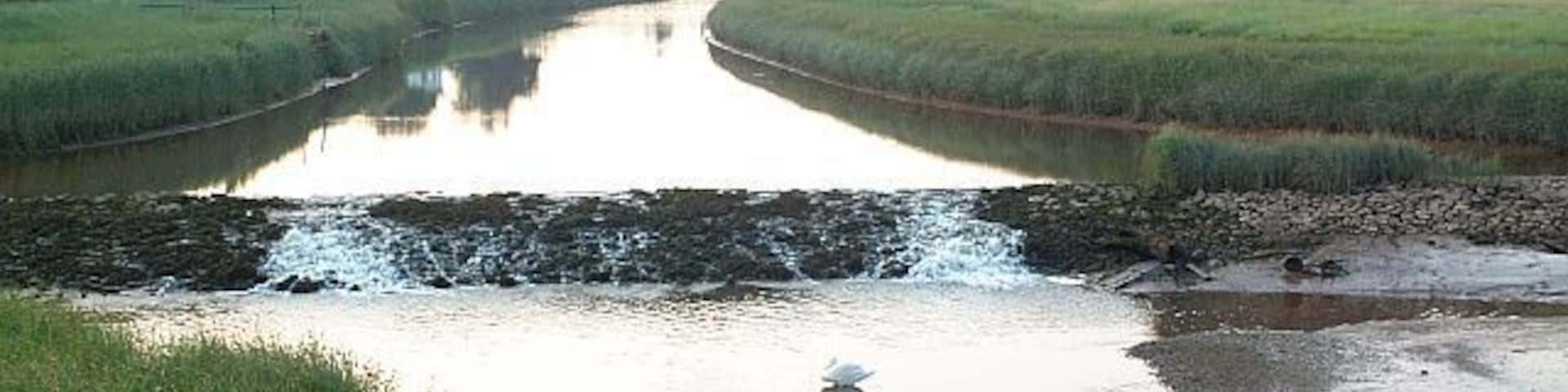 Weir, Clyst Bridge, Topsham This is the weir on the River Clyst at Topsham, looking upstream from the bridge where the Exeter/Exmouth Road crosses the Clyst at the Bridge Inn. Upstream from here, the Clyst here meanders over a farmed floodplain. To the west, the land rises to the sandstone ridge on which Topsham is built.