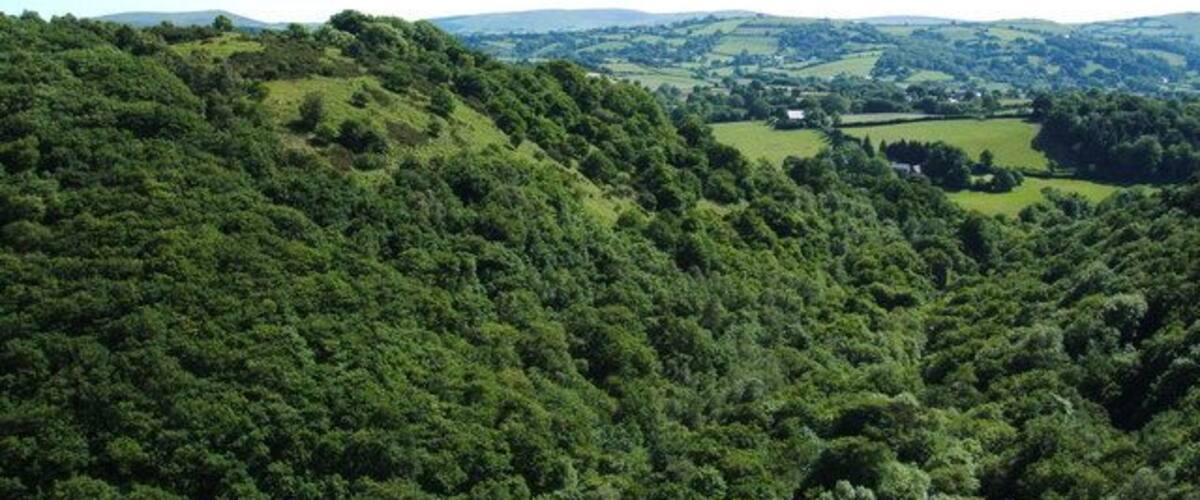 Teign Valley View taken in grounds of Castle Drogo, on The Dartmoor Way,looking south towards Whiddon Wood
