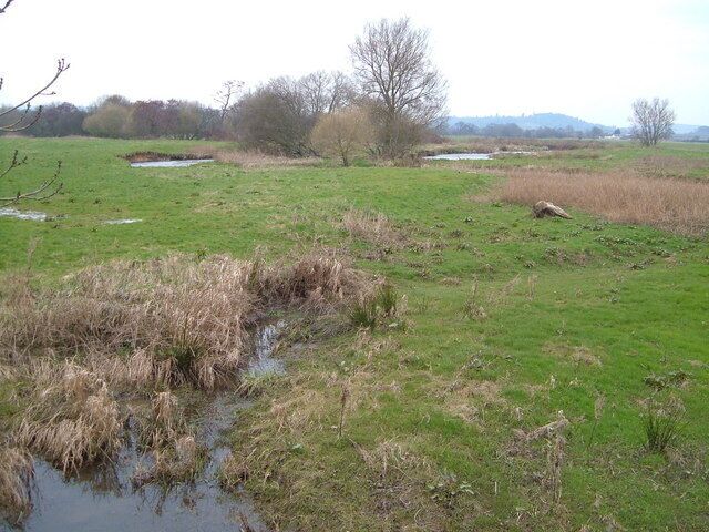 River Culm water meadows. Taken looking NE from Culm Bridge. In its lower stages, the Culm divides into branches; in the photo is a meander of a western distributary.