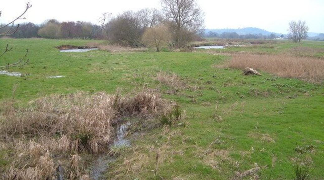 River Culm water meadows. Taken looking NE from Culm Bridge. In its lower stages, the Culm divides into branches; in the photo is a meander of a western distributary.