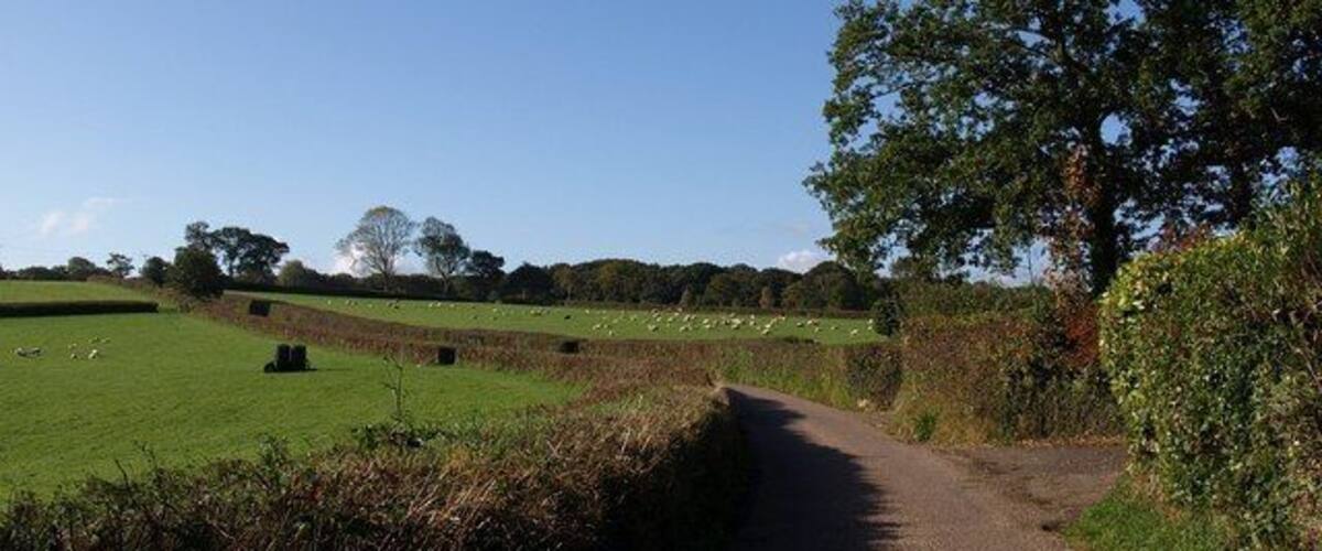 Lane near Hittisleigh. A reverse view of 1551651, looking back up the lane towards Whiddon Down, and taken from the same spot as 1551659.