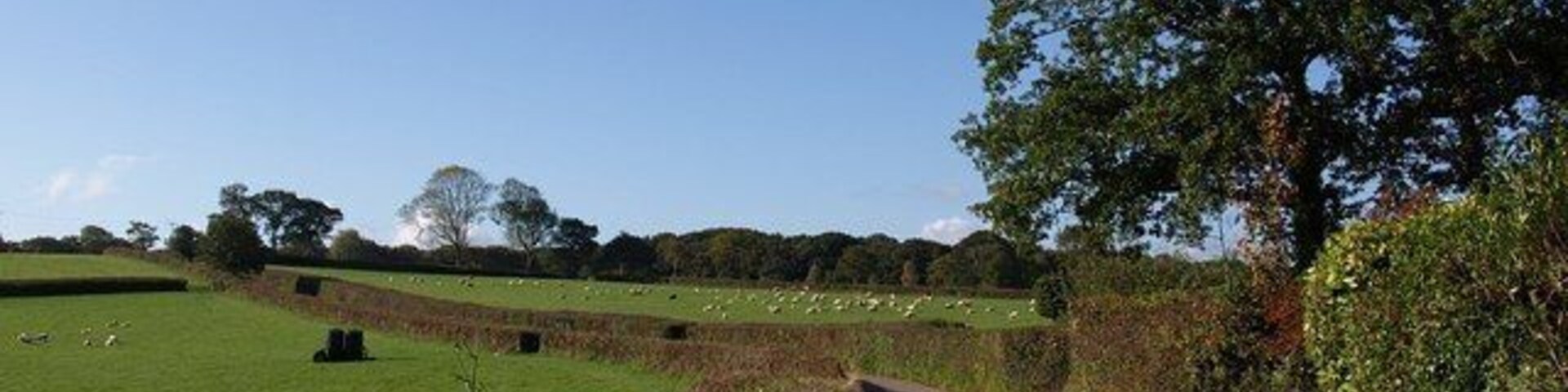 Lane near Hittisleigh. A reverse view of 1551651, looking back up the lane towards Whiddon Down, and taken from the same spot as 1551659.