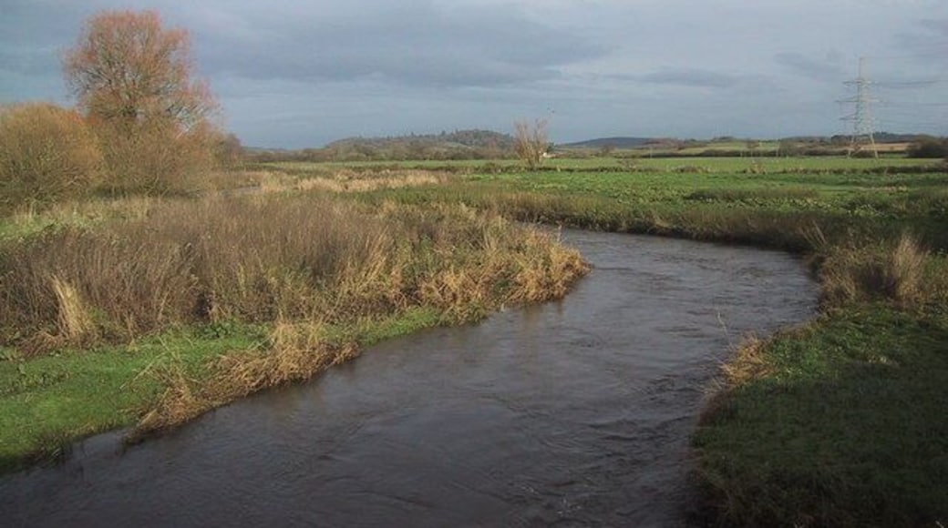 River Culm at Stoke Canon