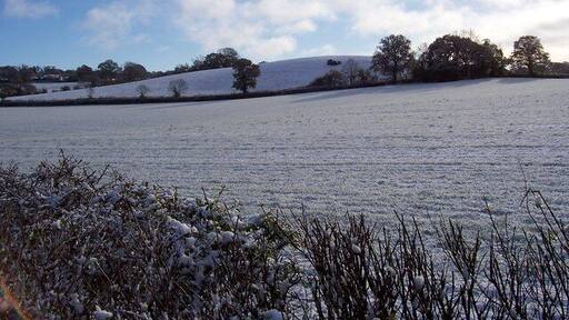 Whimplewood from Woodhayes Cottage Looking SE towards the hill at Whimplewood from the raised bank at Woodhayes Cottage.