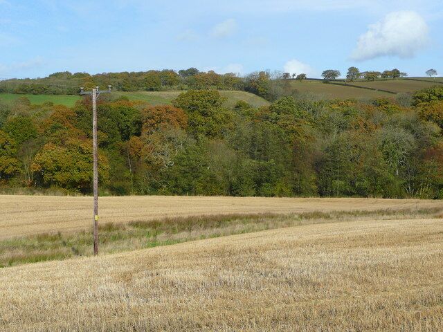 Arable and woodland 1 Looking north from the old A30 to the east of Crockernwell.