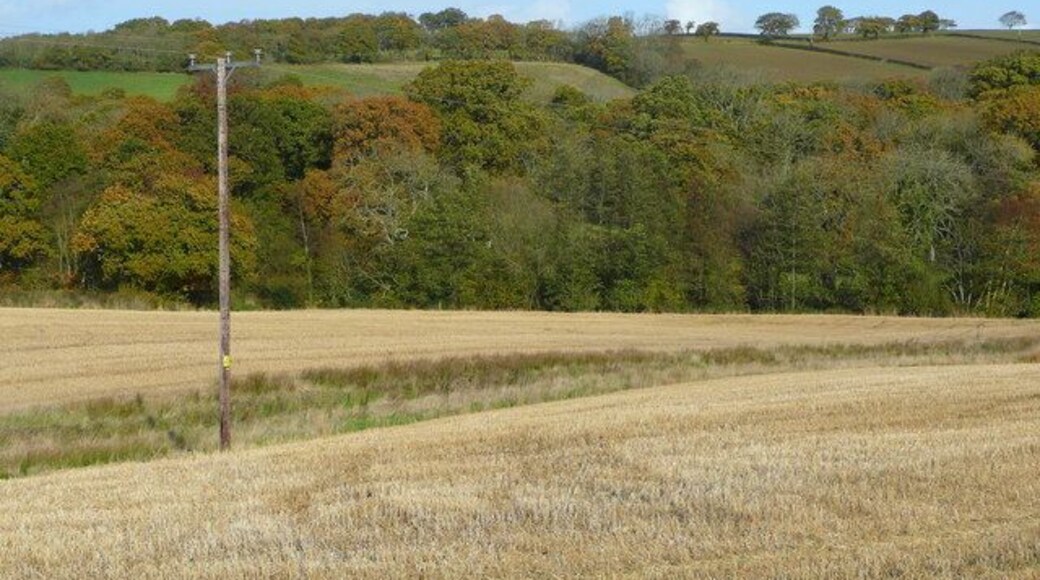 Arable and woodland 1 Looking north from the old A30 to the east of Crockernwell.