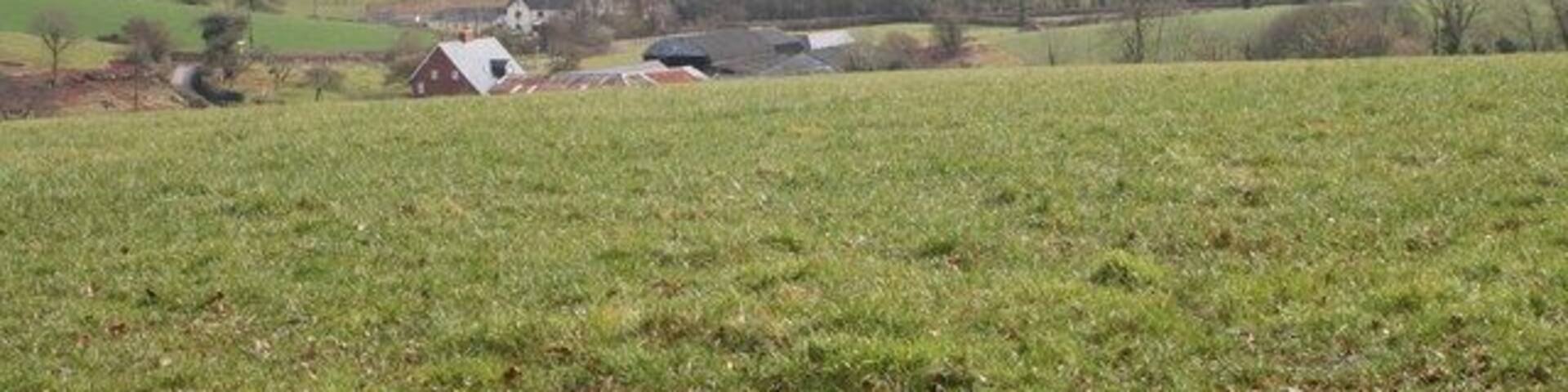 Field above Clapp Mill Farm The buildings on the hillside beyond are those of Townhill Farm at Westwood.