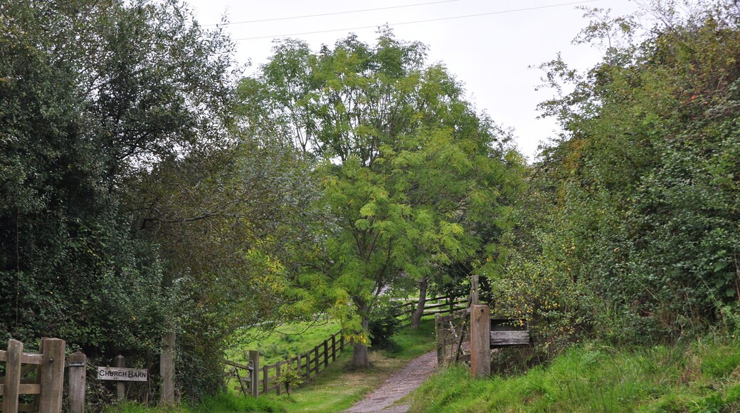 Cadbury : Farm Track