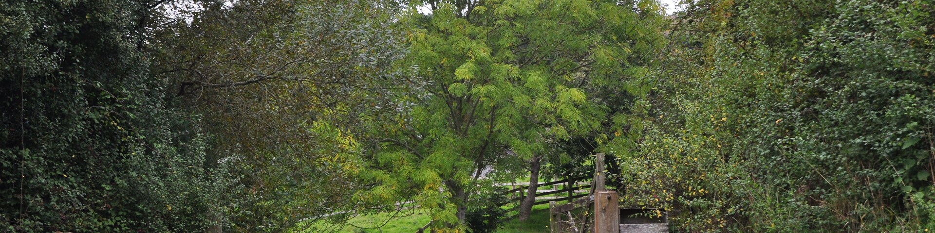 Cadbury : Farm Track