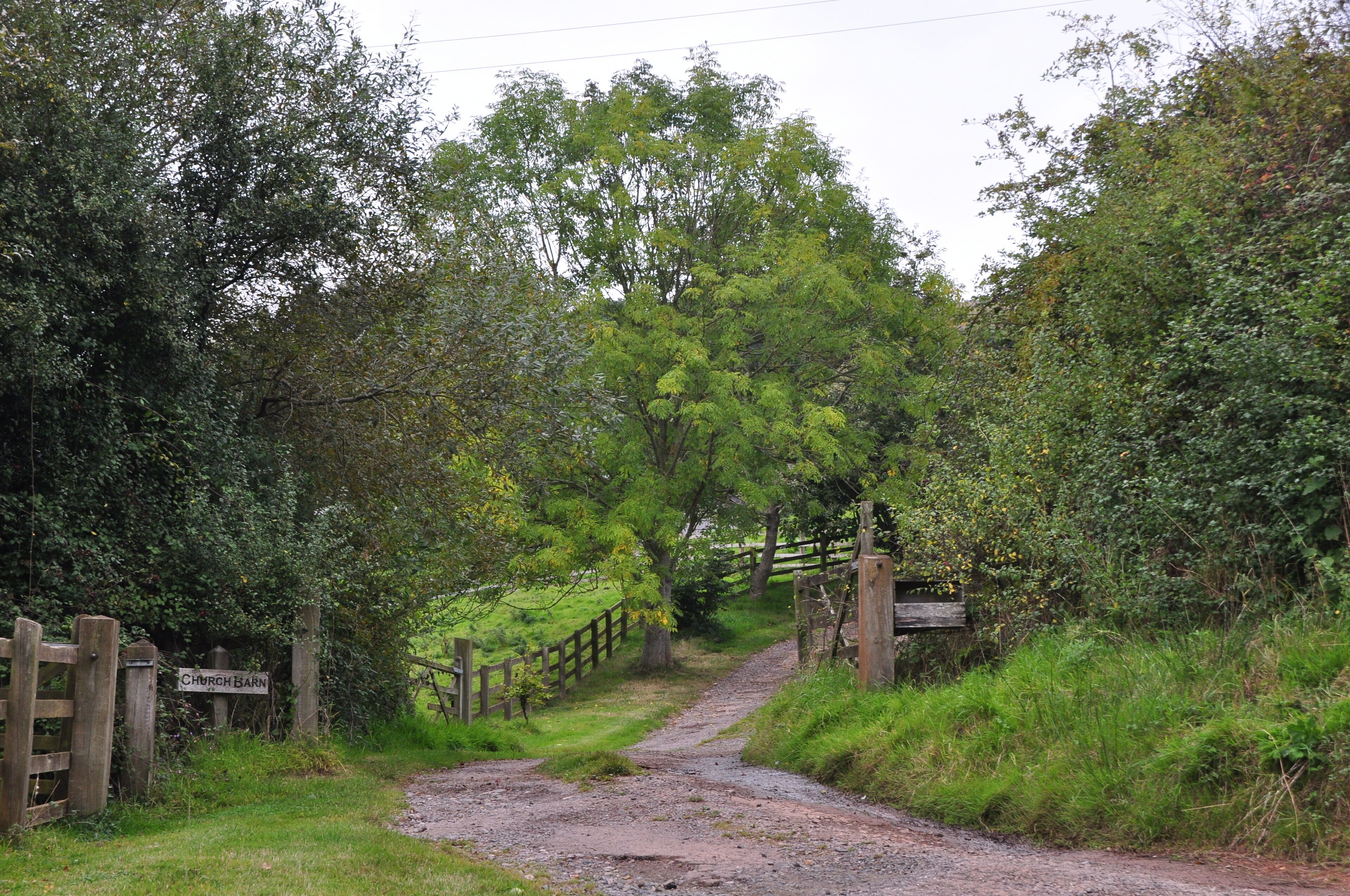 A rural path leading to a church barn, surrounded by lush greenery and a wooden fence.