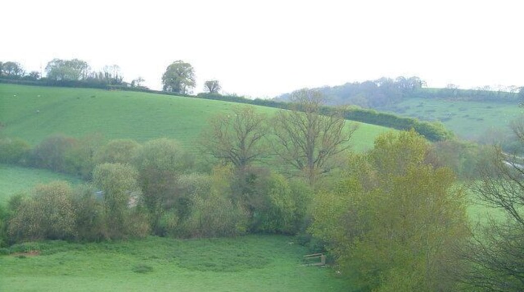 Where two valleys meet. The lines of trees show where two small streams meet from the valleys either side of the Black Hat Lane ridge.