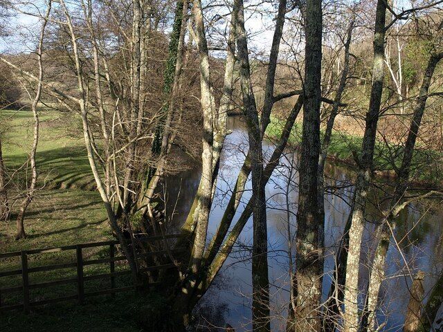 River Teign Looking upstream through trees just above Ashton Mill Weir, at the entrance from the B3193 to a quarry.