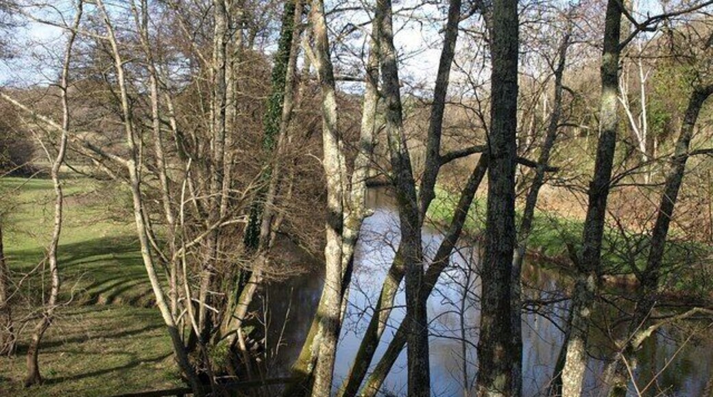 River Teign Looking upstream through trees just above Ashton Mill Weir, at the entrance from the B3193 to a quarry.