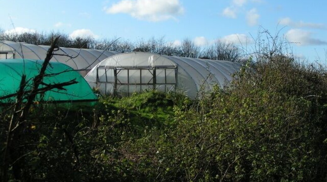 Polytunnels on Old Ebford Lane