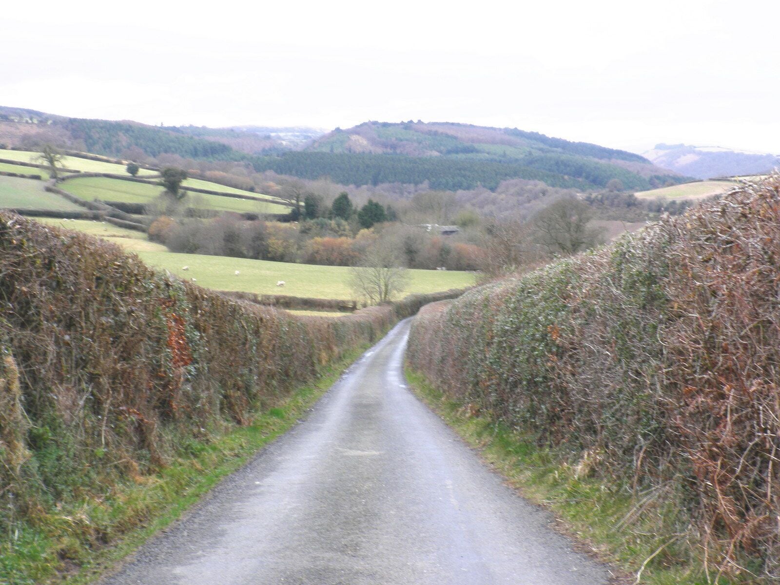 Boyland Road, west of Dunsford