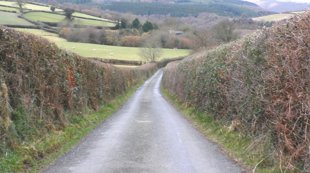 Boyland Road, west of Dunsford