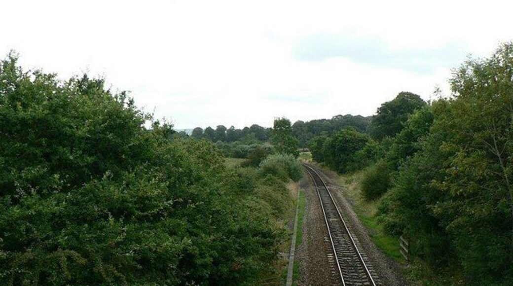 Railway towards Feniton and Honiton From the bridge on the road from Talaton to Fairmile.