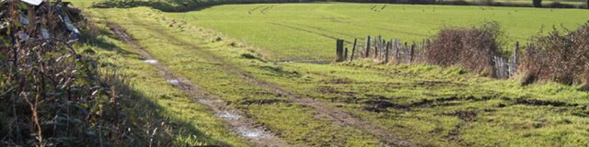 Rewe: disused railway at Up Exe. The formation of the Exe Valley Railway near Up Exe Mill. The long disused embankment runs south west to a vanished crossing of the river Exe