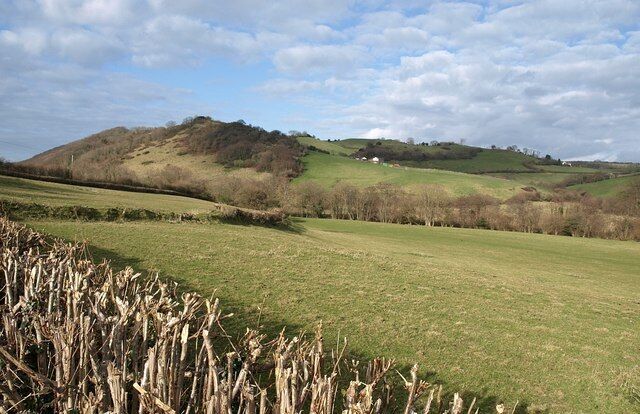 Teign valley Looking across the valley from the B3193 between Ashton and Christow. On the far hill is Great Leigh Farm. The woodland on the shoulder of the hill to its left is not mapped at most scales. To its left is Scanniclift Copse.