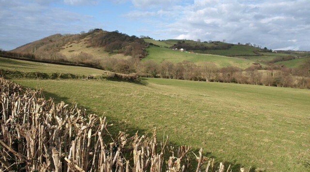 Teign valley Looking across the valley from the B3193 between Ashton and Christow. On the far hill is Great Leigh Farm. The woodland on the shoulder of the hill to its left is not mapped at most scales. To its left is Scanniclift Copse.