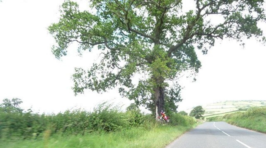 Mid Devon - A396 The A396 between Tiverton and Exeter - an alternate route to the M5.