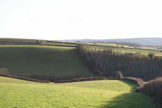 Silverton: farmland west of the village. South from Jennys Portion. Looking south