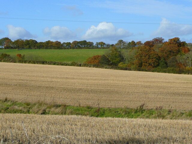 Arable and woodland 2 Parallel fields and woodland on the northern edge of the Dartmoor National Park.