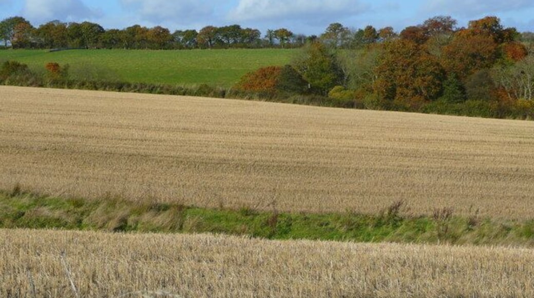 Arable and woodland 2 Parallel fields and woodland on the northern edge of the Dartmoor National Park.