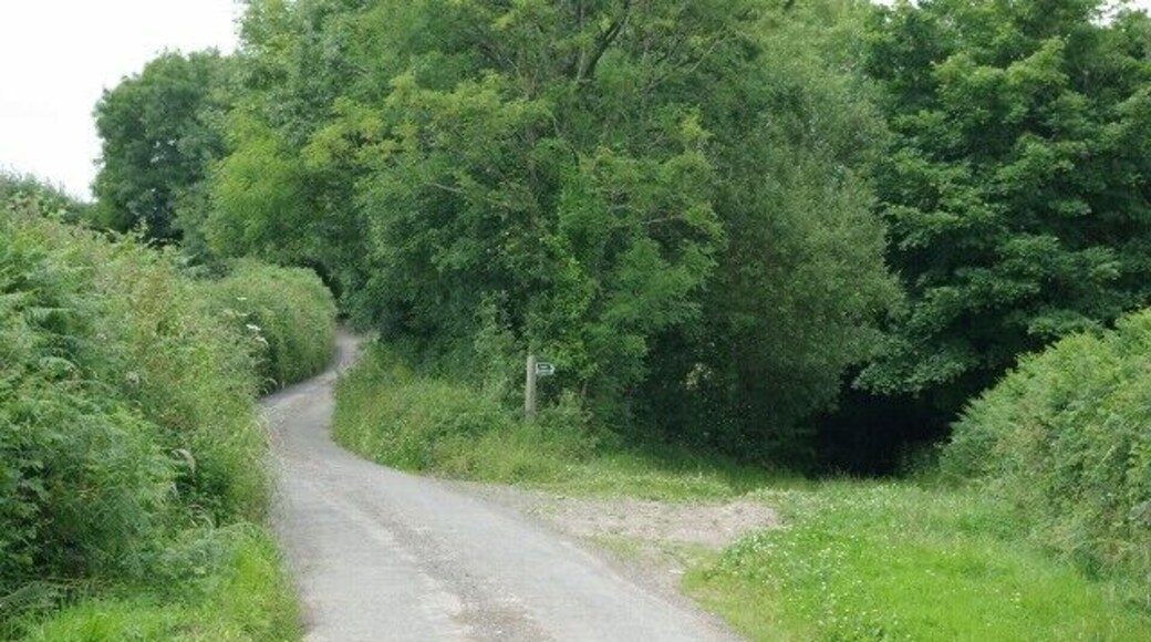 Start of bridleway on Rowhorne Road