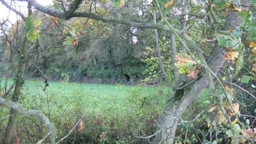 Franklin's Plantation near Huxham