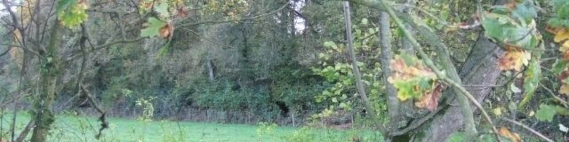 Franklin's Plantation near Huxham