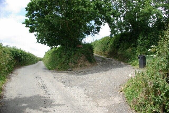 A gravel road with a tree on the left and a trash bin on the right.