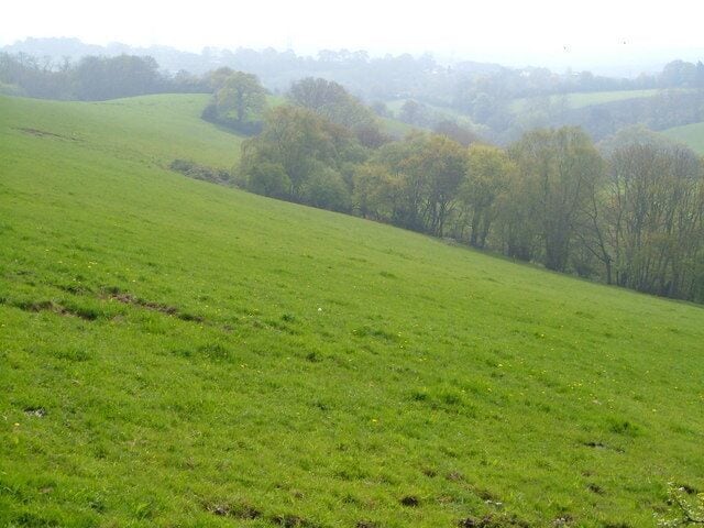 Valley east of Longdown. Looking down the valley seen in 164069, from near its head, with Graddon Copse at extreme left.