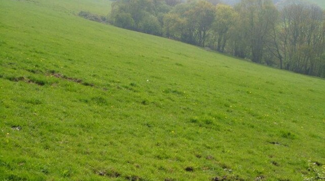 Valley east of Longdown. Looking down the valley seen in 164069, from near its head, with Graddon Copse at extreme left.