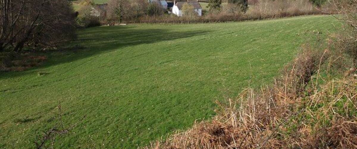 A green field with a white building and a small bridge in the distance.