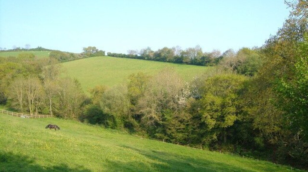 View near Clove Farm. This steep valley is seen from a metalled lane which is also classified as Holcombe Burnell bridleway no 7.