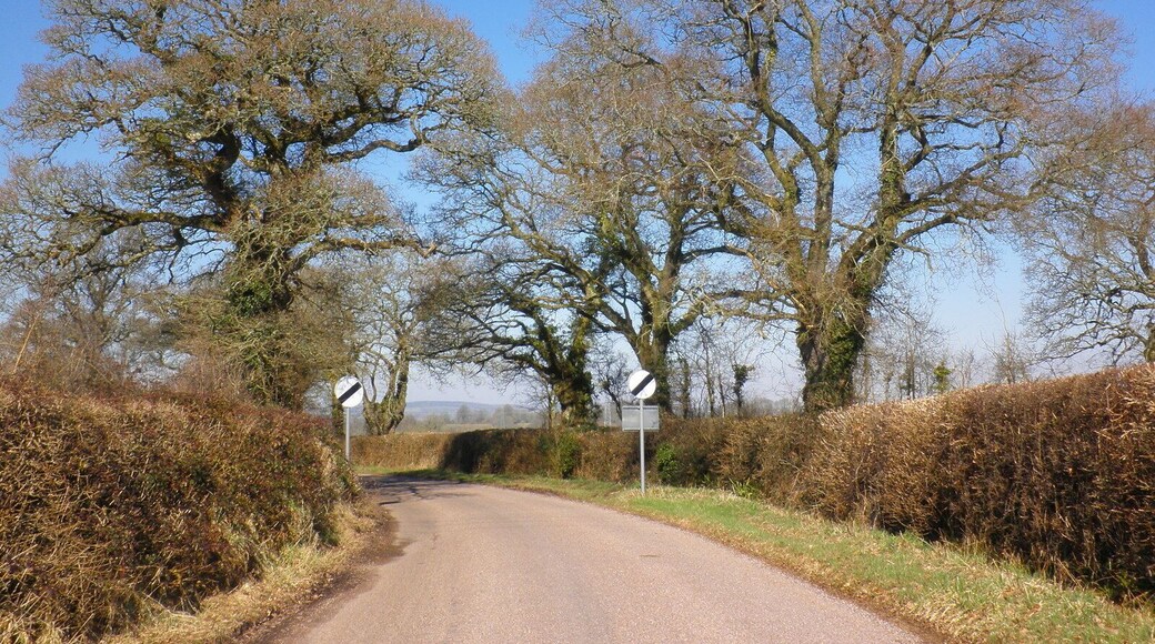 Minor road from Marsh Green to Rockbeare