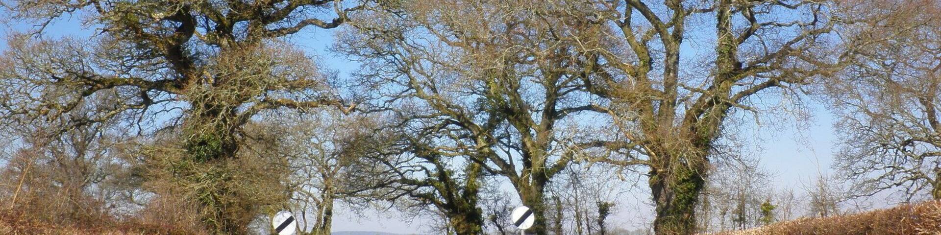 Minor road from Marsh Green to Rockbeare